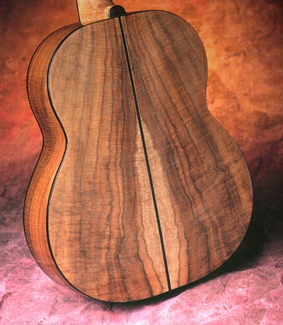 back detail