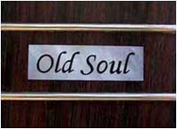 fret inset
